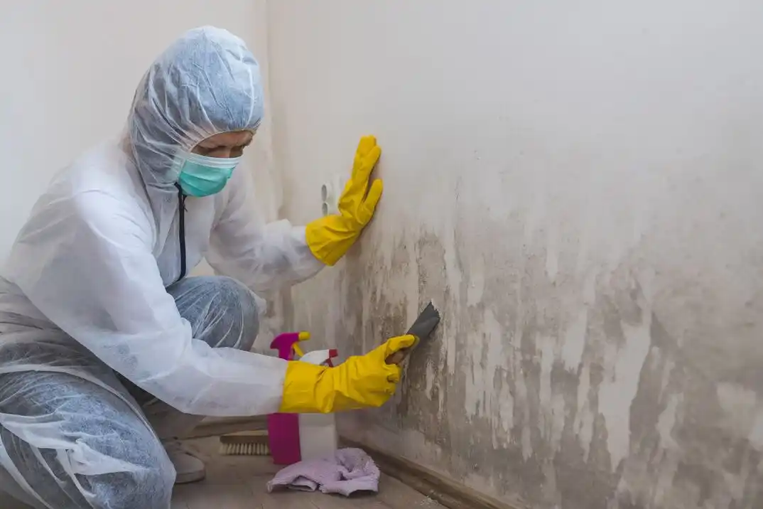 water damage restoration service South Shore Heights